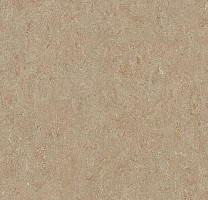 Линолеум Forbo Marmoleum Marbled Terra 5803-580335 weathered sand фото 1 | FLOORDEALER